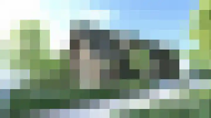 De Beek 77 Ermelo thumbnail 5