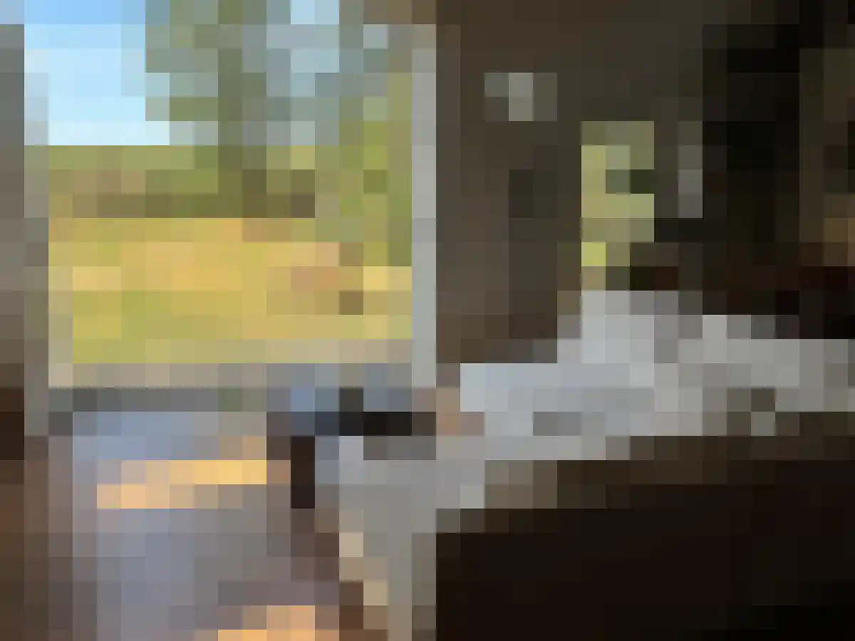 De Beek 89 Ermelo thumbnail 4