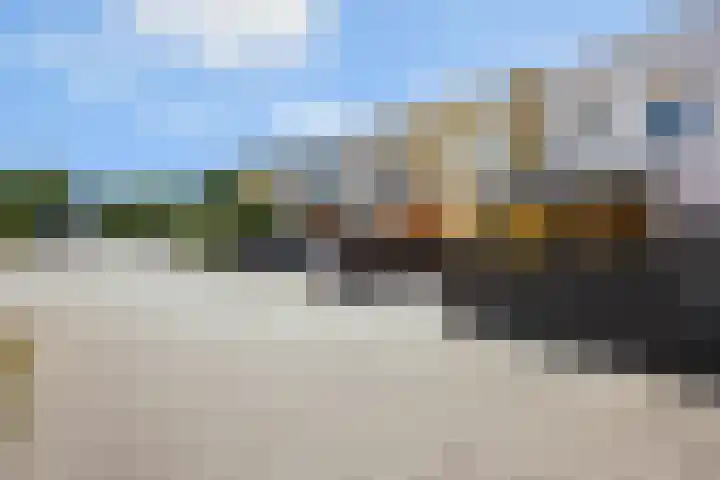 De Beekdam 10 Rosmalen thumbnail 35