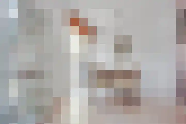 De Beekdam 10 Rosmalen thumbnail 8