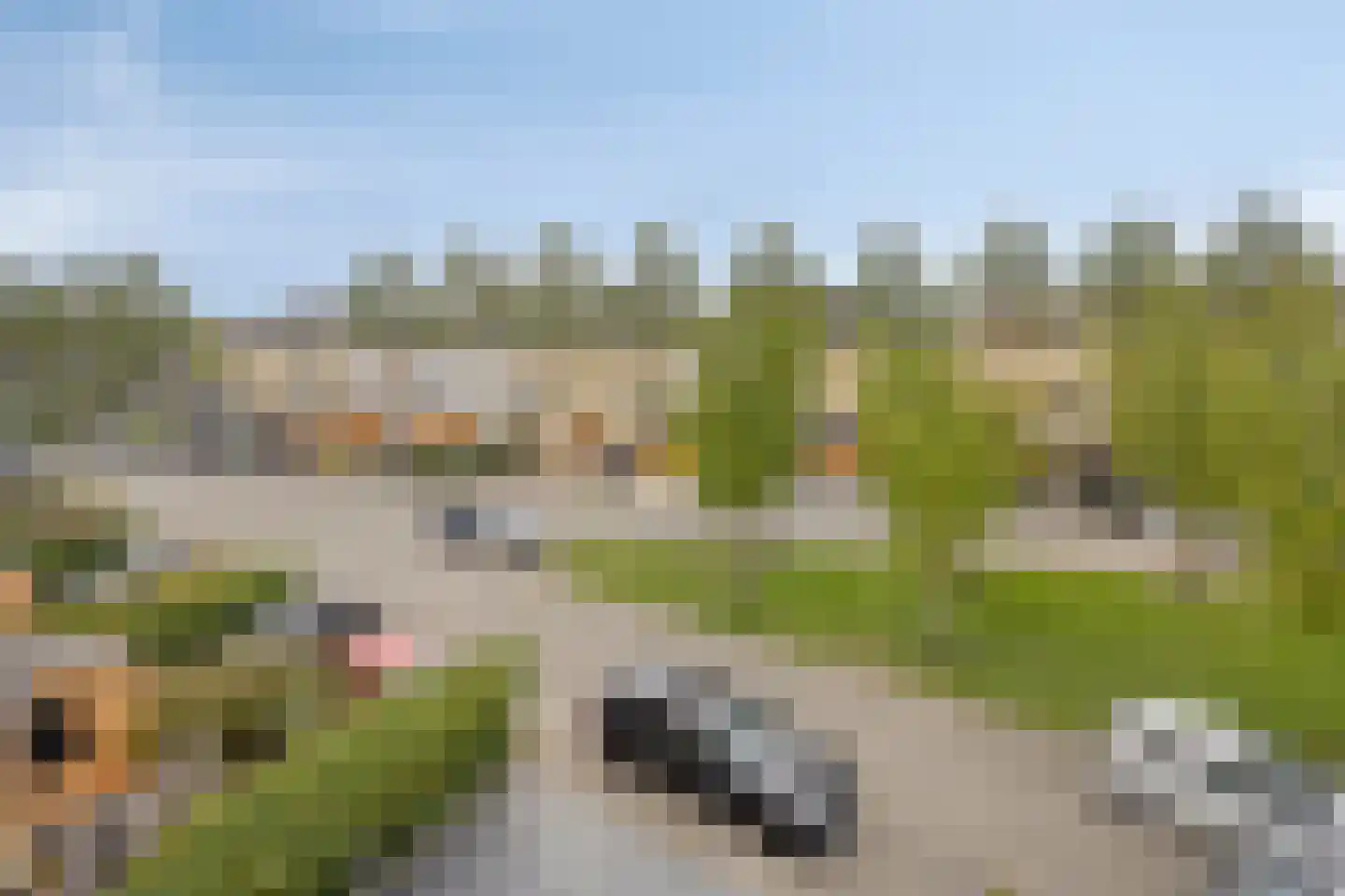 De Beekdam 11 Rosmalen thumbnail 42