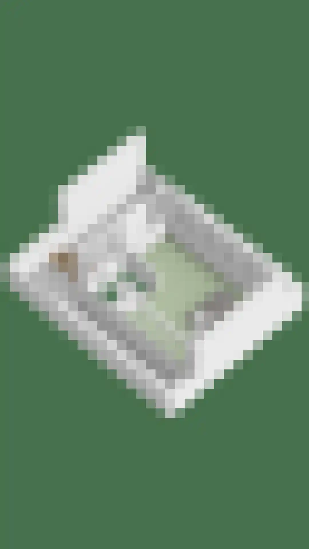 De Beekdam 11 Rosmalen thumbnail 52
