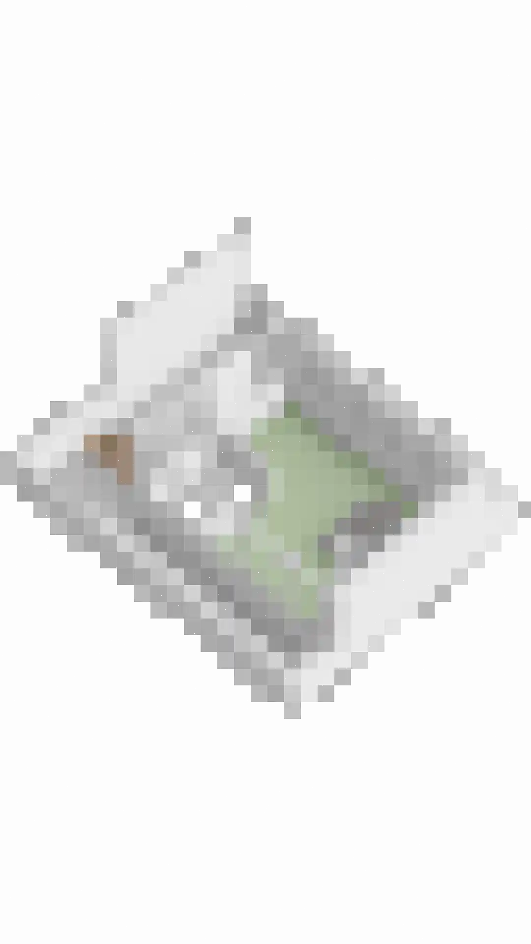De Beekdam 11 Rosmalen thumbnail 54