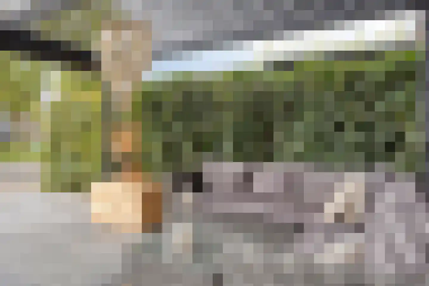 De Beekdam 11 Rosmalen thumbnail 7