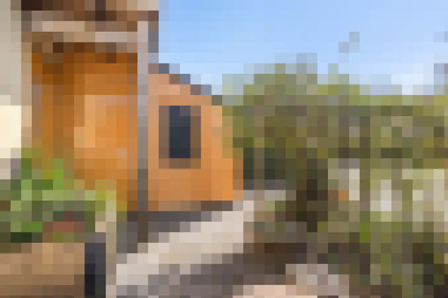 De Beekdam 9 Rosmalen thumbnail 30