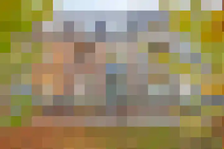 De Beekgraaf 36 Nistelrode thumbnail 12