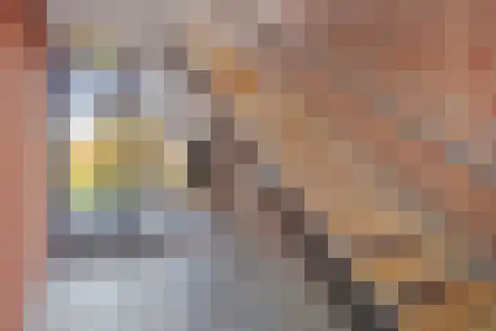 De Beekgraaf 36 Nistelrode thumbnail 15