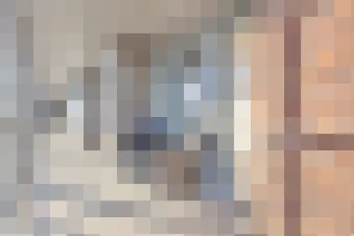 De Beekgraaf 36 Nistelrode thumbnail 18