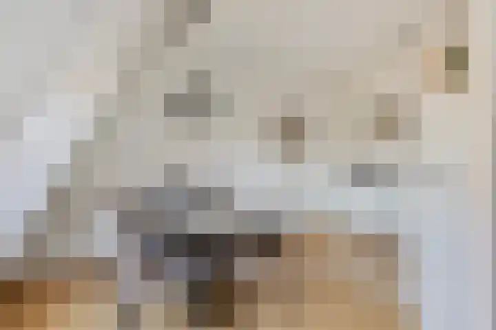 De Beekgraaf 36 Nistelrode thumbnail 30