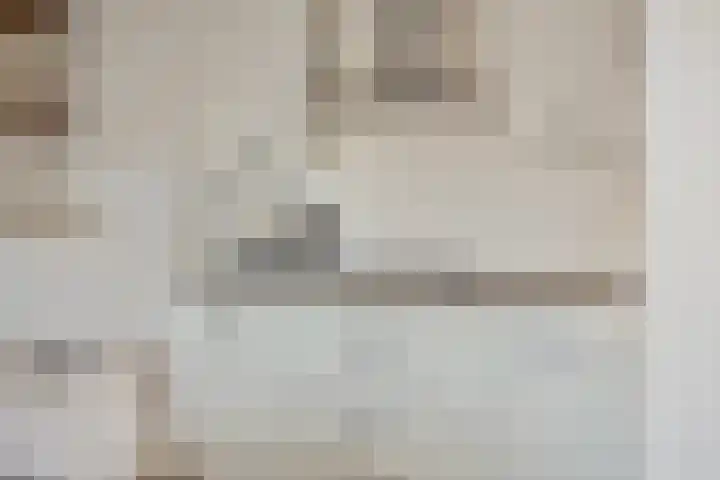 De Beekgraaf 36 Nistelrode thumbnail 32