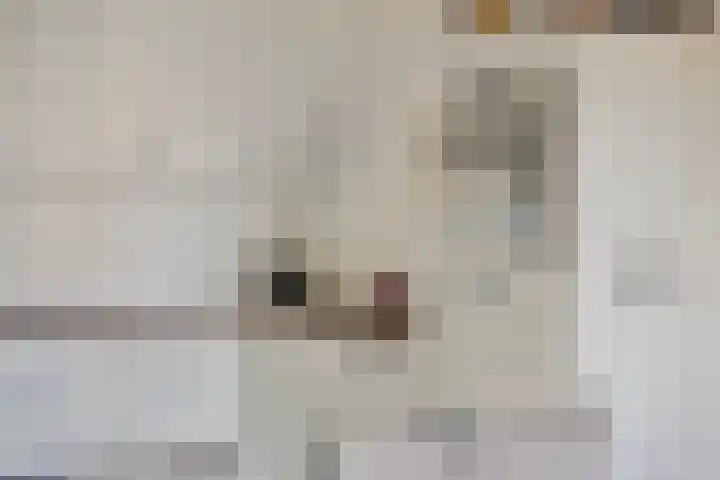 De Beekgraaf 36 Nistelrode thumbnail 33