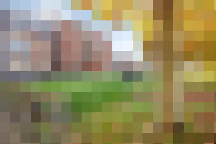 De Beekgraaf 36 Nistelrode thumbnail 50