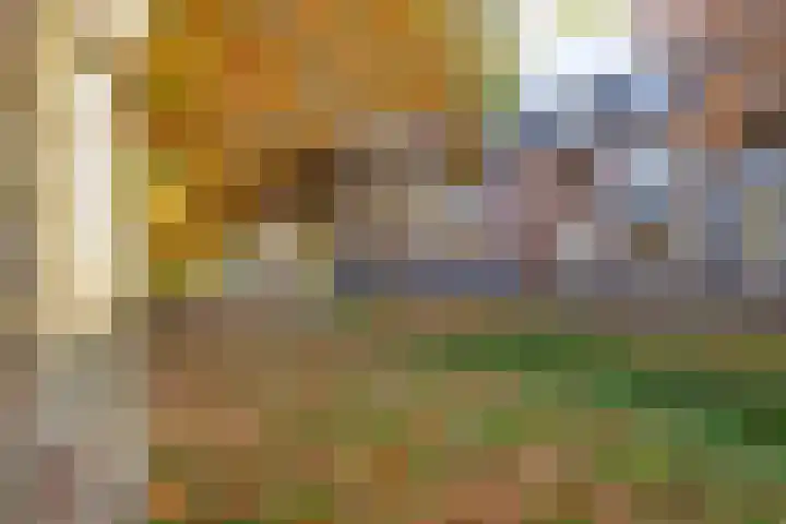 De Beekgraaf 36 Nistelrode thumbnail 51