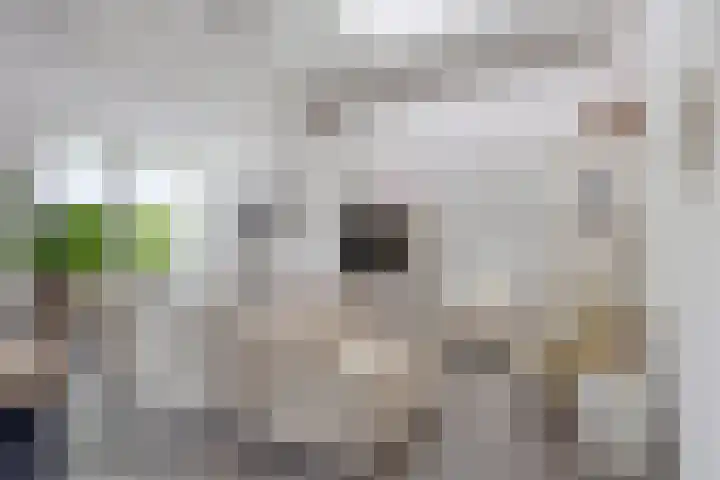 De Beekgraaf 40 Nistelrode thumbnail 12