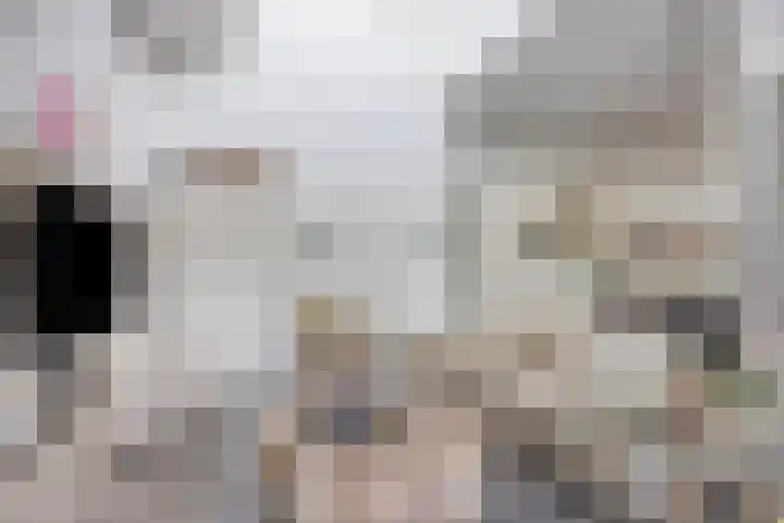 De Beekgraaf 40 Nistelrode thumbnail 13