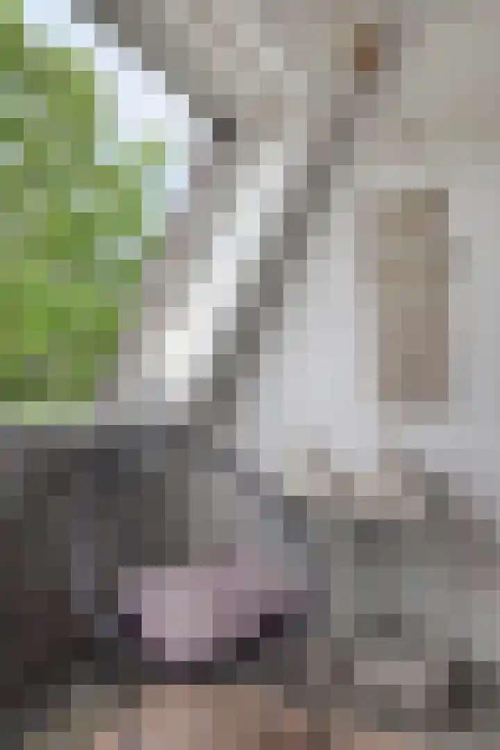 De Beekgraaf 40 Nistelrode thumbnail 28