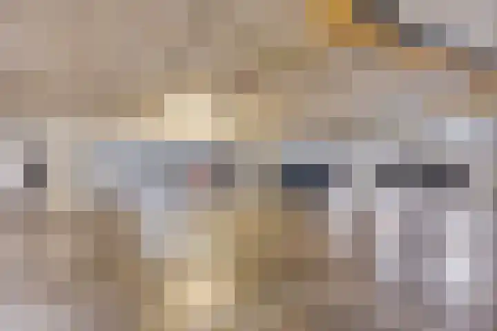 De Beekgraaf 40 Nistelrode thumbnail 30