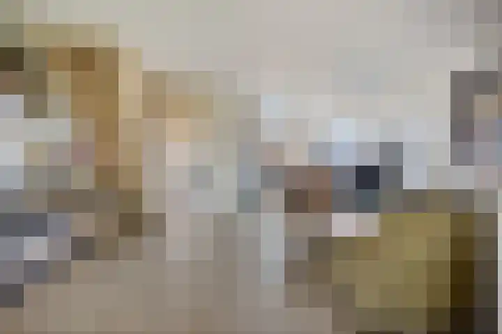 De Beeklanden 5 Schoonebeek thumbnail 11