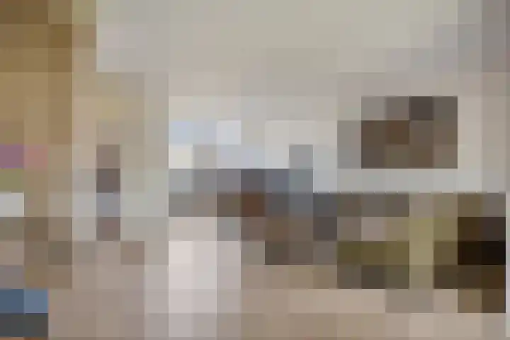 De Beeklanden 5 Schoonebeek thumbnail 12