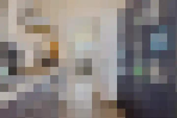 De Beeklanden 5 Schoonebeek thumbnail 14
