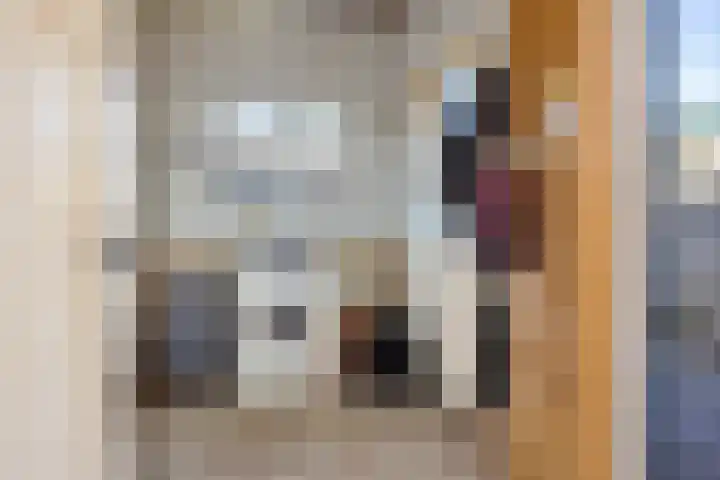 De Beeklanden 5 Schoonebeek thumbnail 15