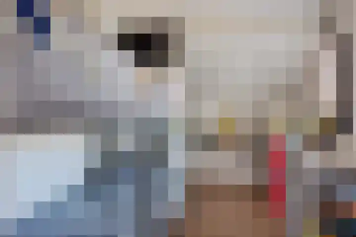 De Beeklanden 5 Schoonebeek thumbnail 18
