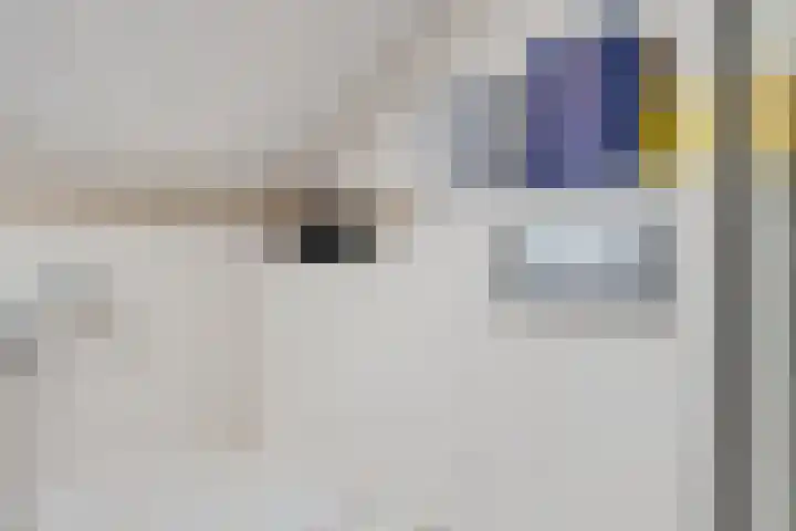 De Beeklanden 5 Schoonebeek thumbnail 21