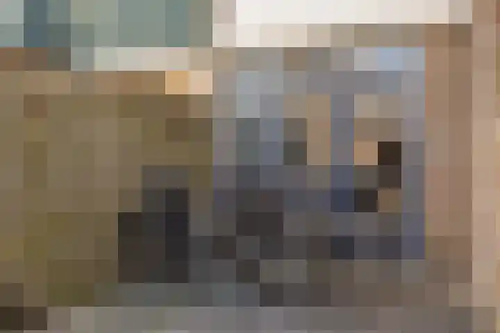 De Beeklanden 5 Schoonebeek thumbnail 24