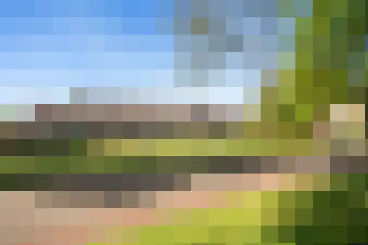 De Beeklanden 5 Schoonebeek thumbnail 28