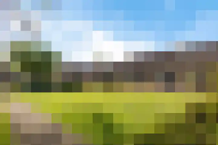 De Beeklanden 5 Schoonebeek thumbnail 30