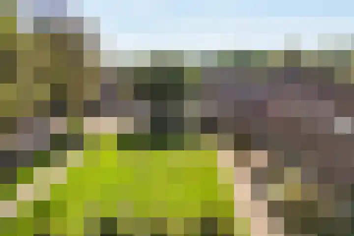 De Beeklanden 5 Schoonebeek thumbnail 31