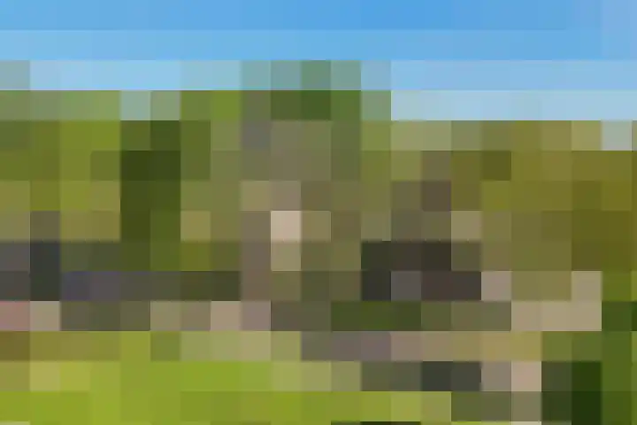 De Beeklanden 5 Schoonebeek thumbnail 32