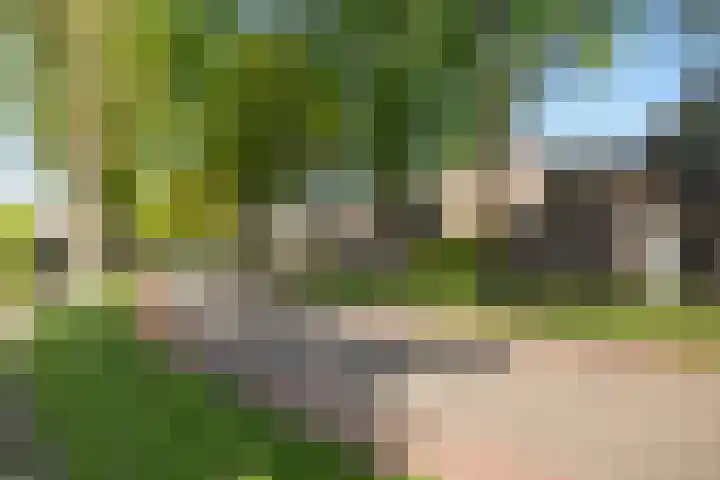 De Beeklanden 5 Schoonebeek thumbnail 33