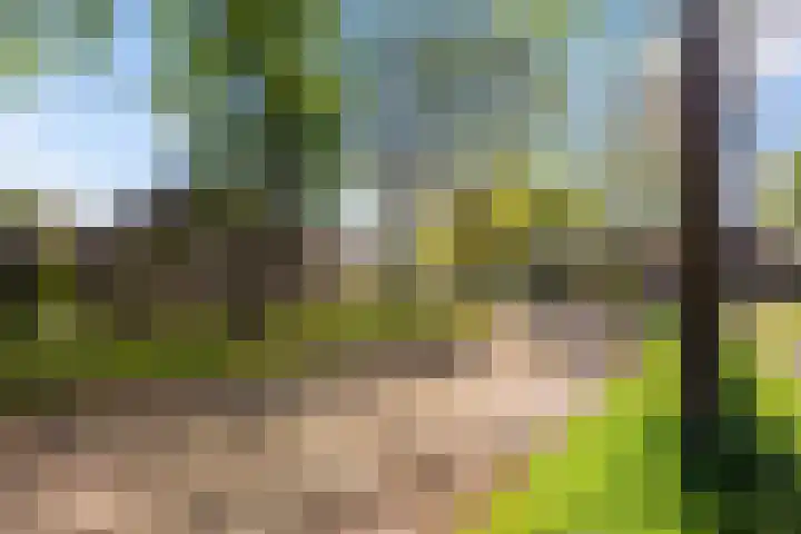 De Beeklanden 5 Schoonebeek thumbnail 34