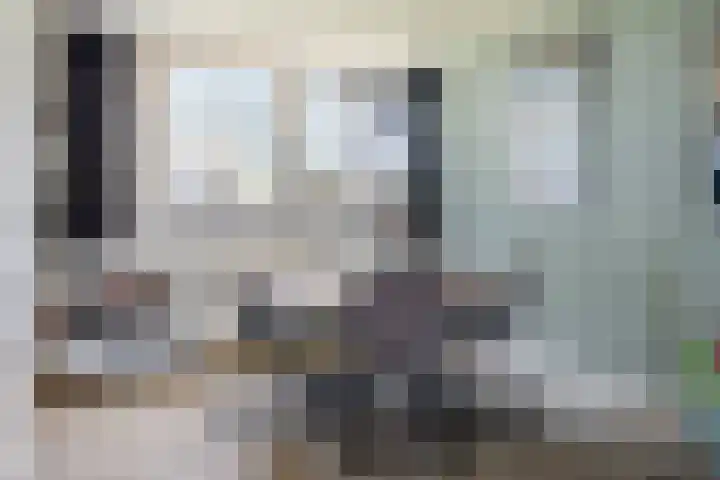 De Beeklanden 5 Schoonebeek thumbnail 8