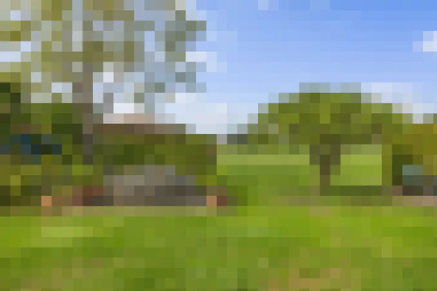 De Beeklanden 51 Schoonebeek thumbnail 19