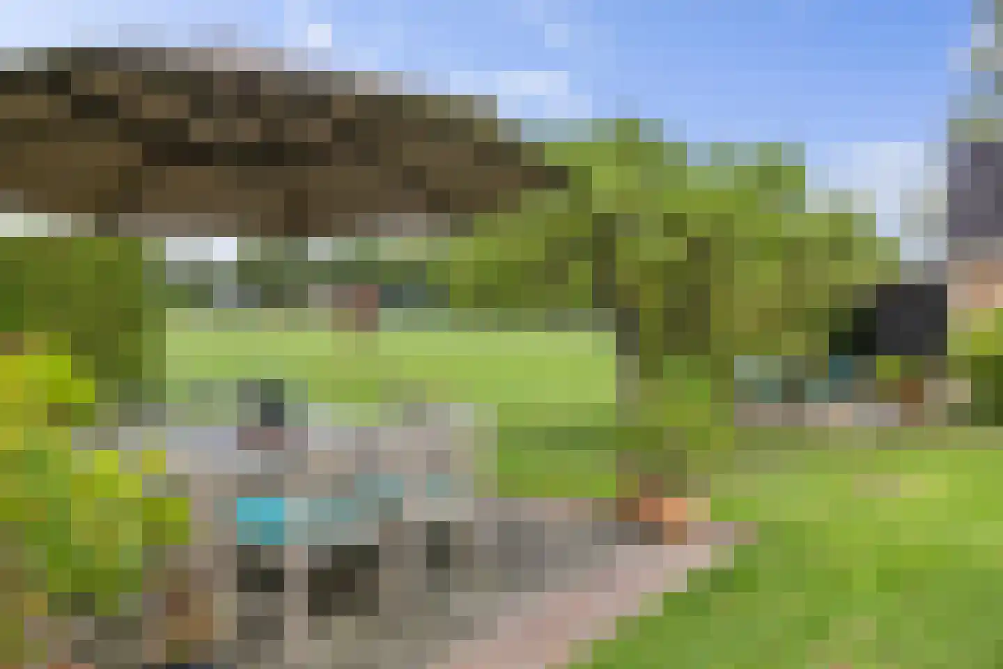 De Beeklanden 51 Schoonebeek thumbnail 20