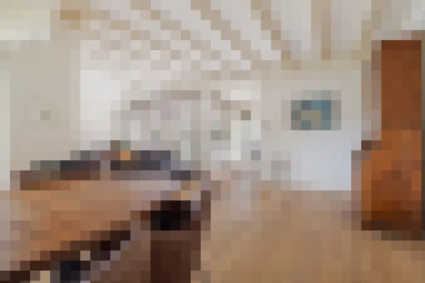 De Beeklanden 51 Schoonebeek thumbnail 32