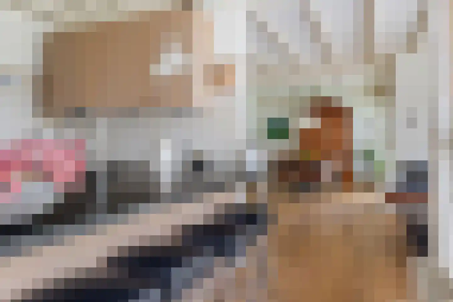 De Beeklanden 51 Schoonebeek thumbnail 35