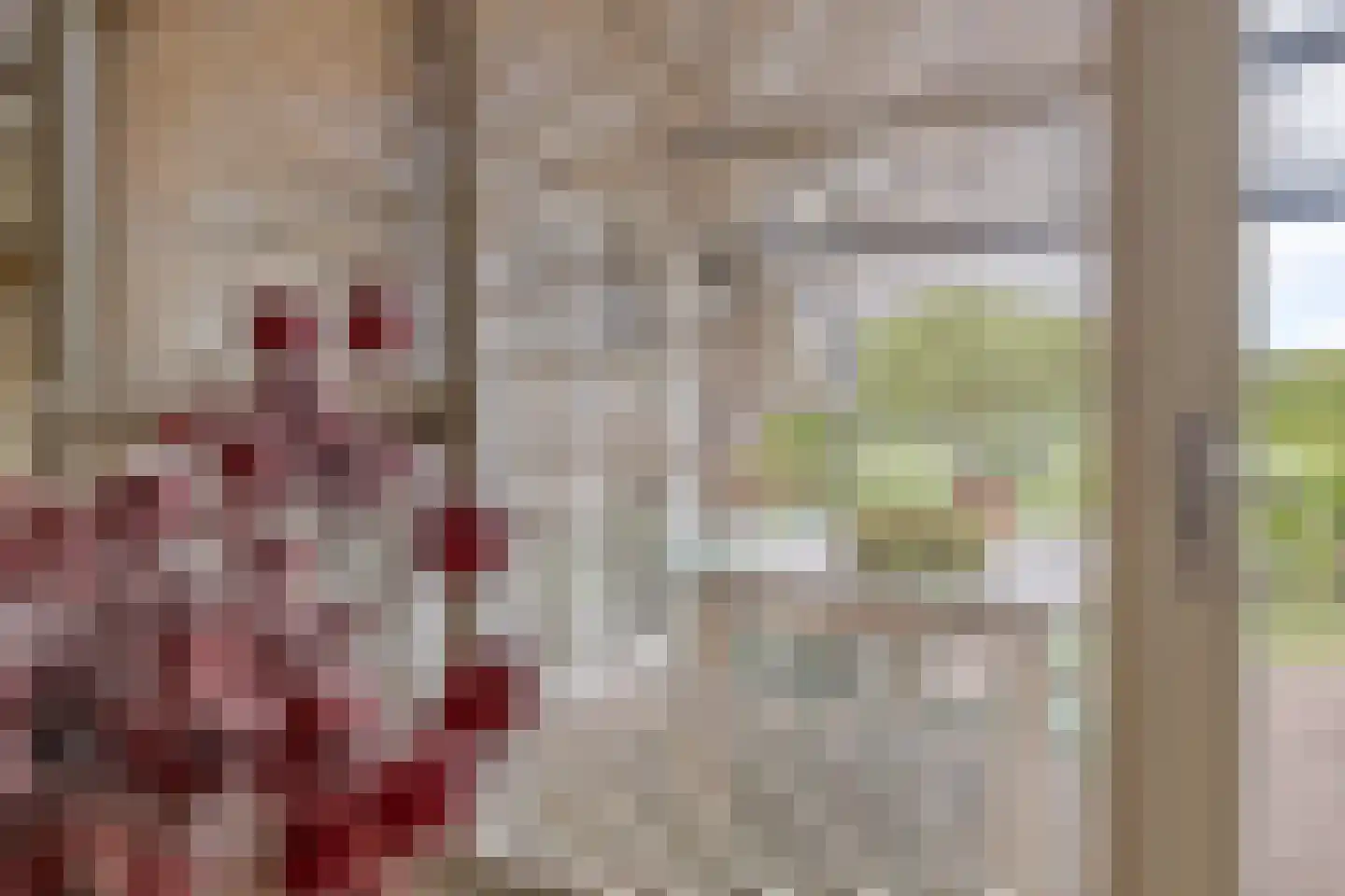 De Beeklanden 51 Schoonebeek thumbnail 38