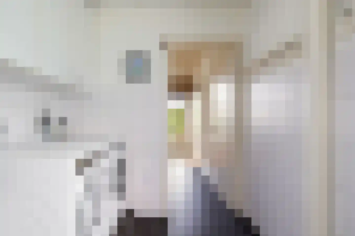 De Beeklanden 51 Schoonebeek thumbnail 42