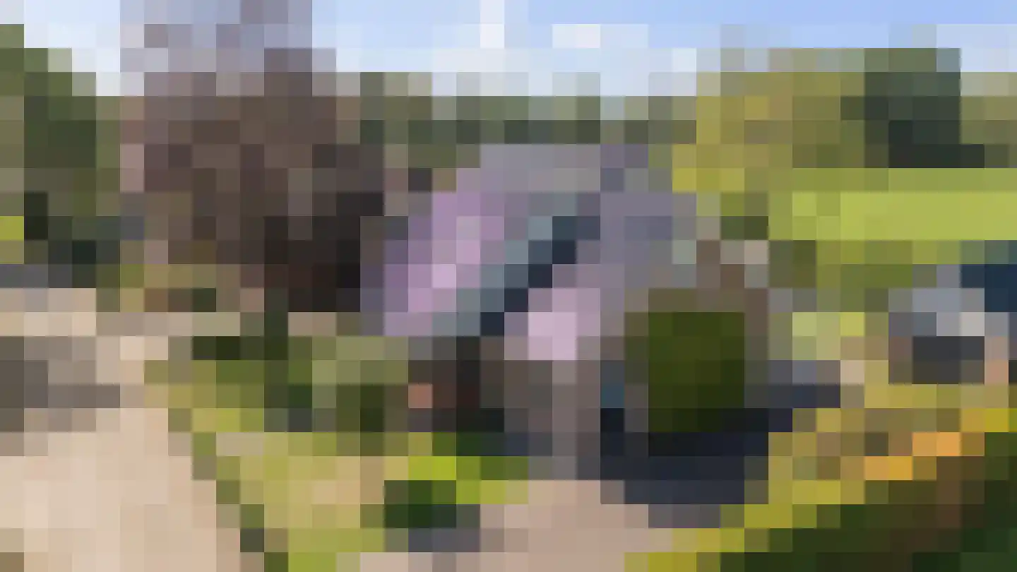 De Beeklanden 51 Schoonebeek thumbnail 6