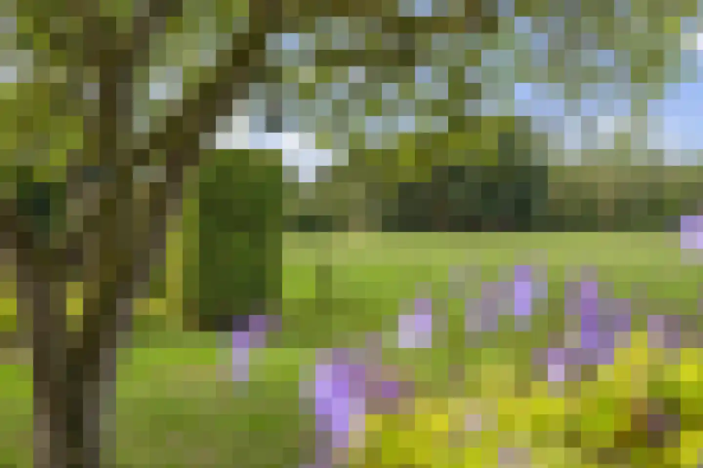 De Beeklanden 51 Schoonebeek thumbnail 62