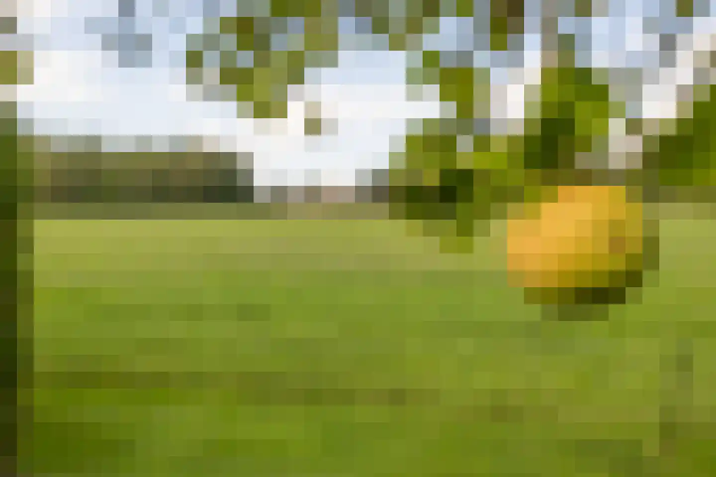De Beeklanden 51 Schoonebeek thumbnail 63