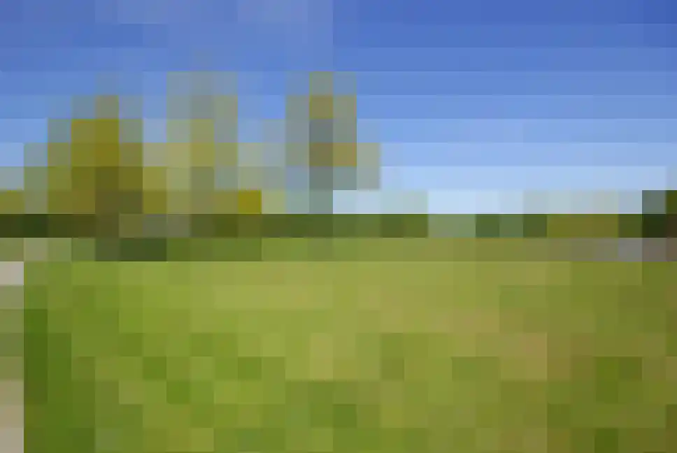 De Beeklanden 51 Schoonebeek thumbnail 66