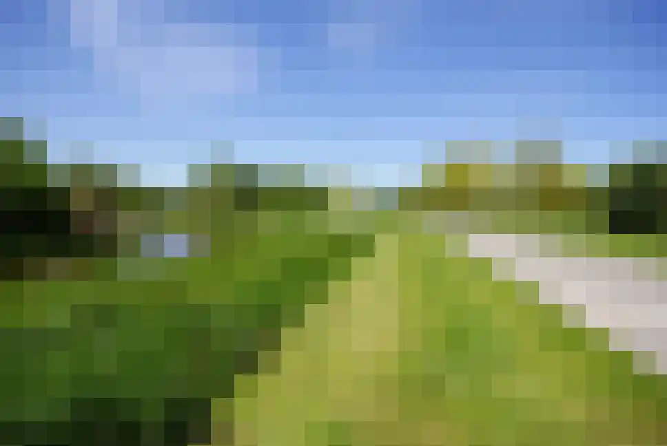 De Beeklanden 51 Schoonebeek thumbnail 67