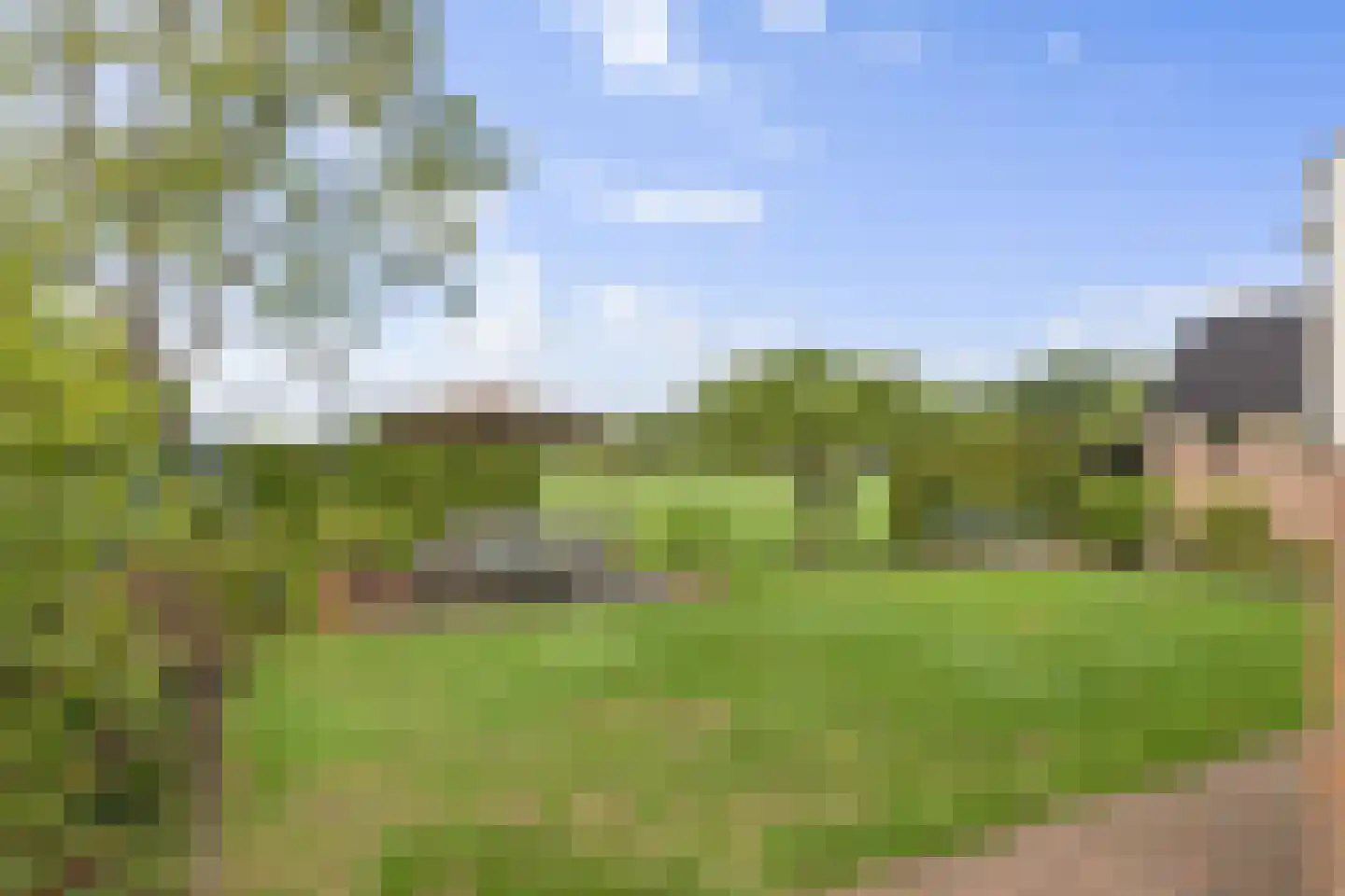 De Beeklanden 51 Schoonebeek thumbnail 7