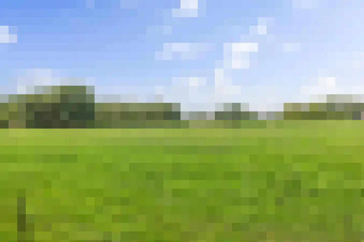 De Beeklanden 51 Schoonebeek thumbnail 8
