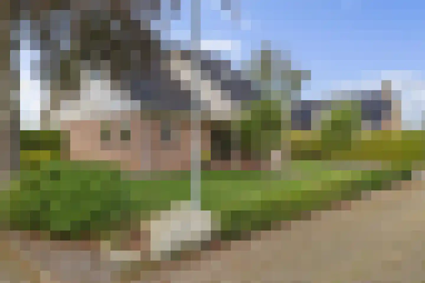 De Beeklanden 51 Schoonebeek thumbnail 9