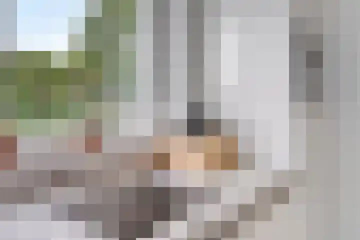 De Beekse Tuin 24 Nuenen thumbnail 10